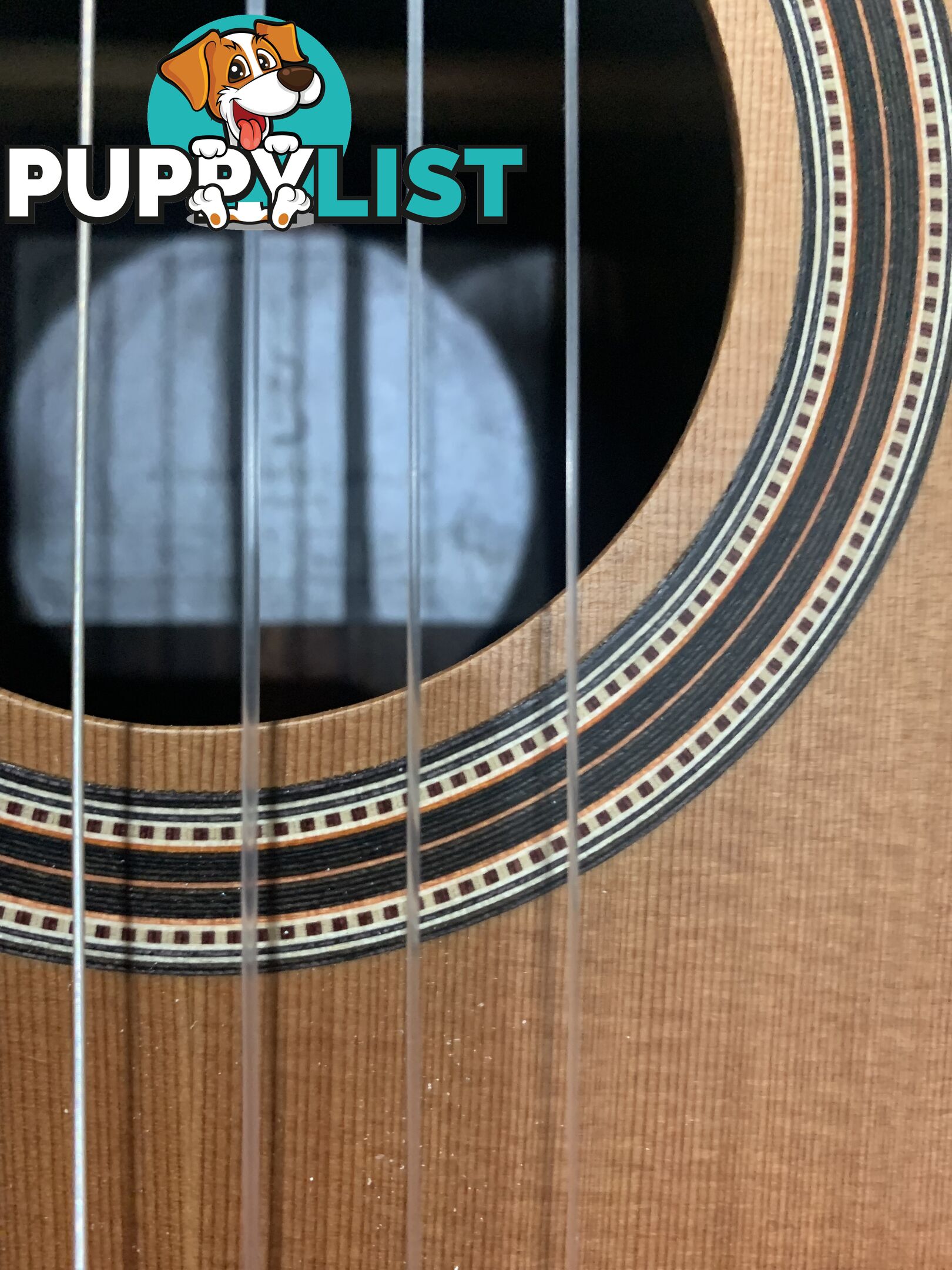 Classical Guitar APC-9C