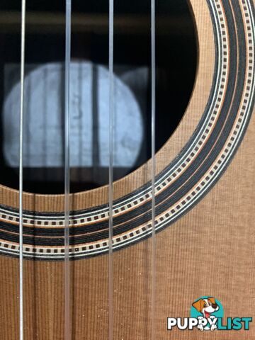 Classical Guitar APC-9C