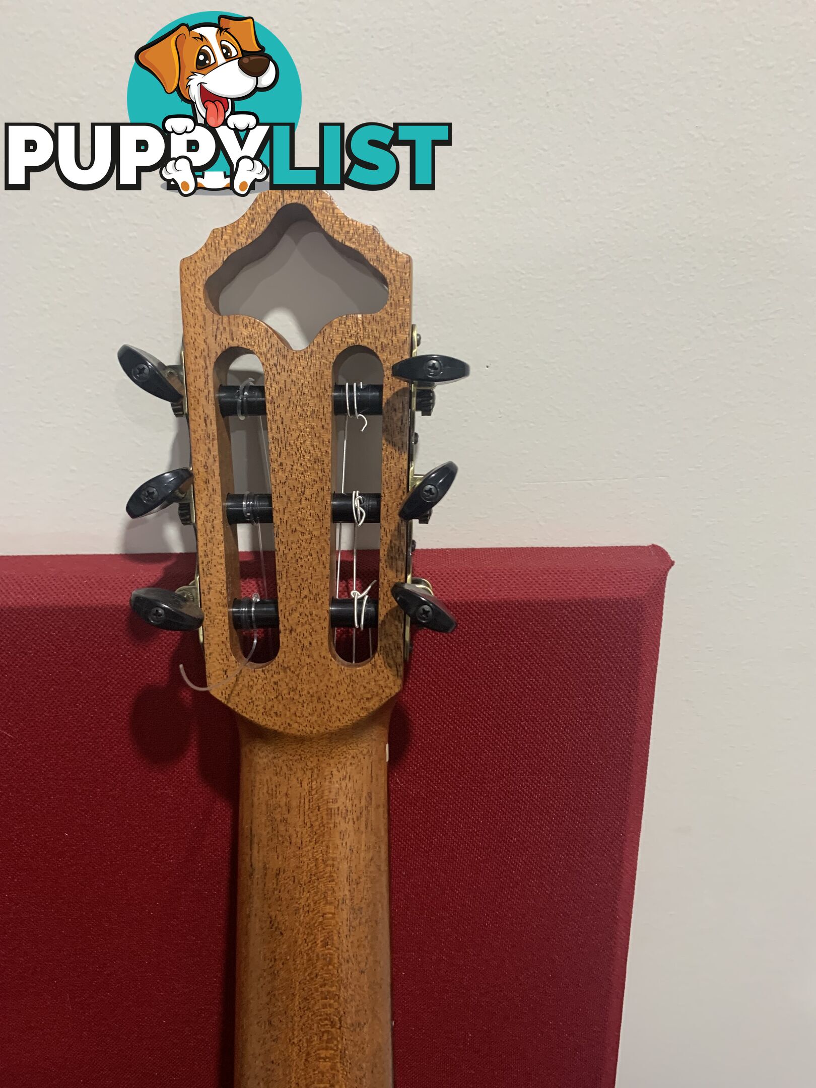 Classical Guitar APC-9C