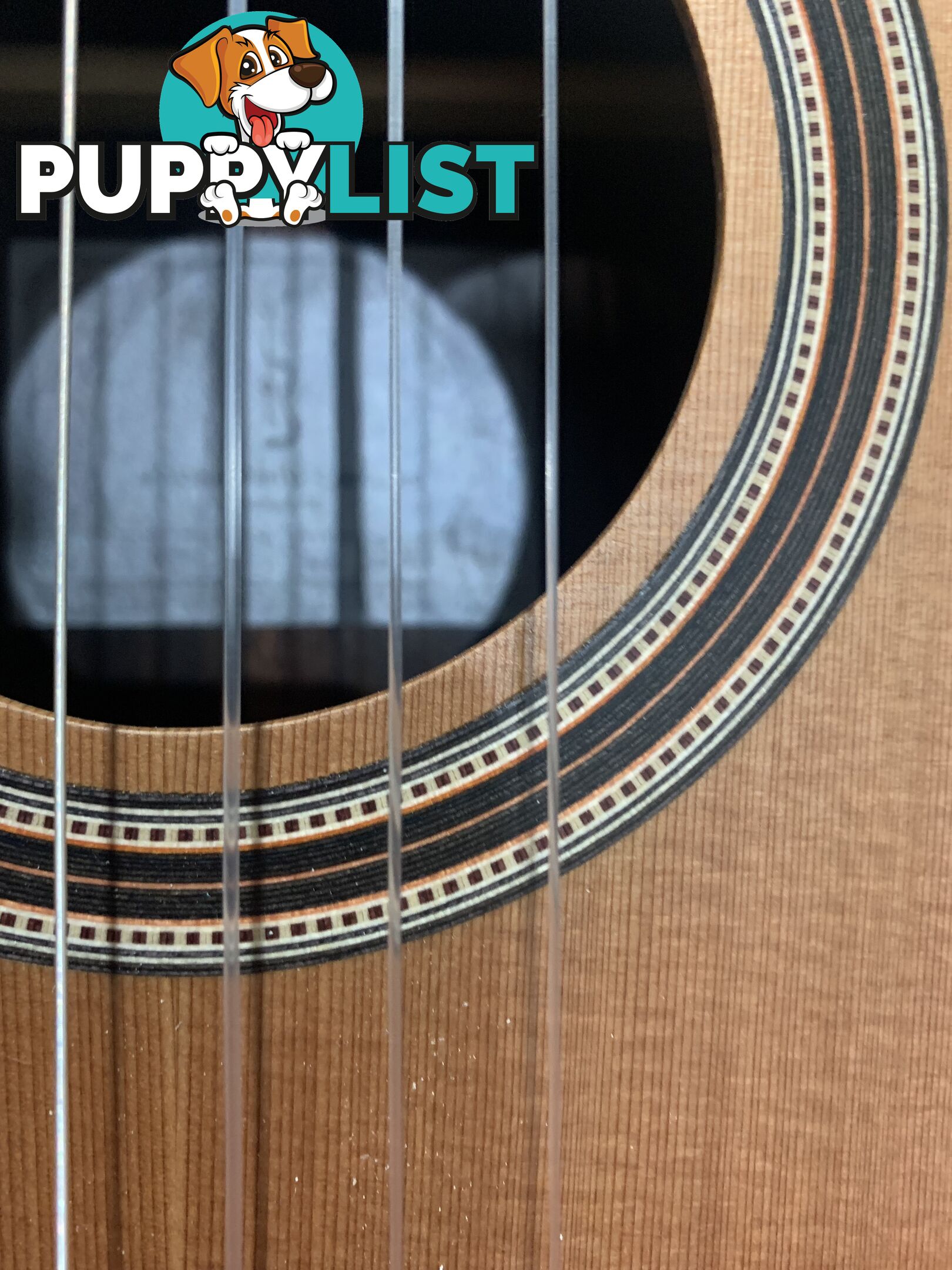 Classical Guitar APC-9C