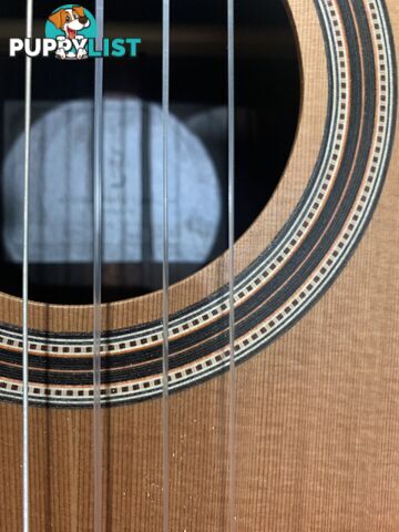 Classical Guitar APC-9C