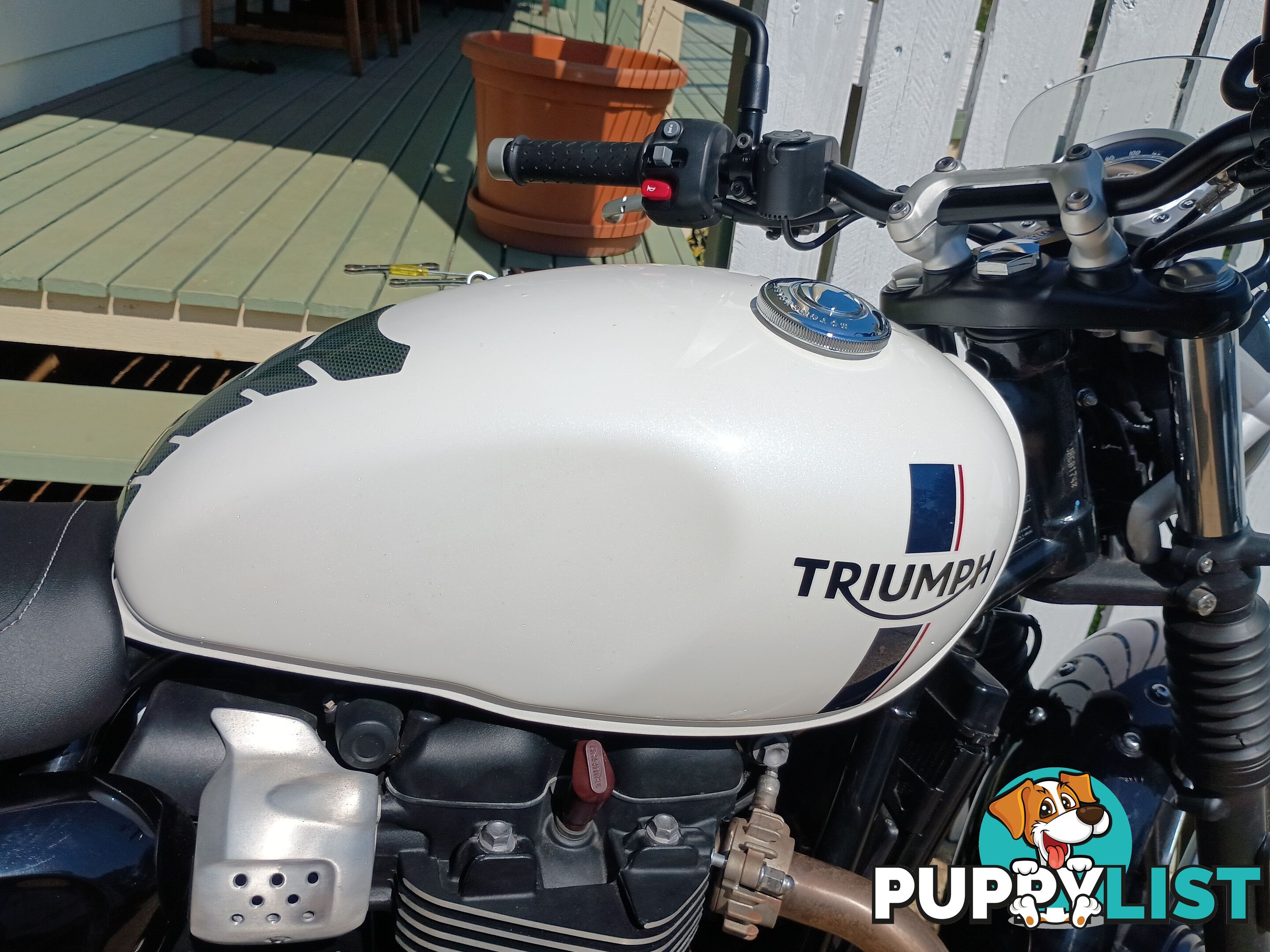 Triumph Street Twin 900