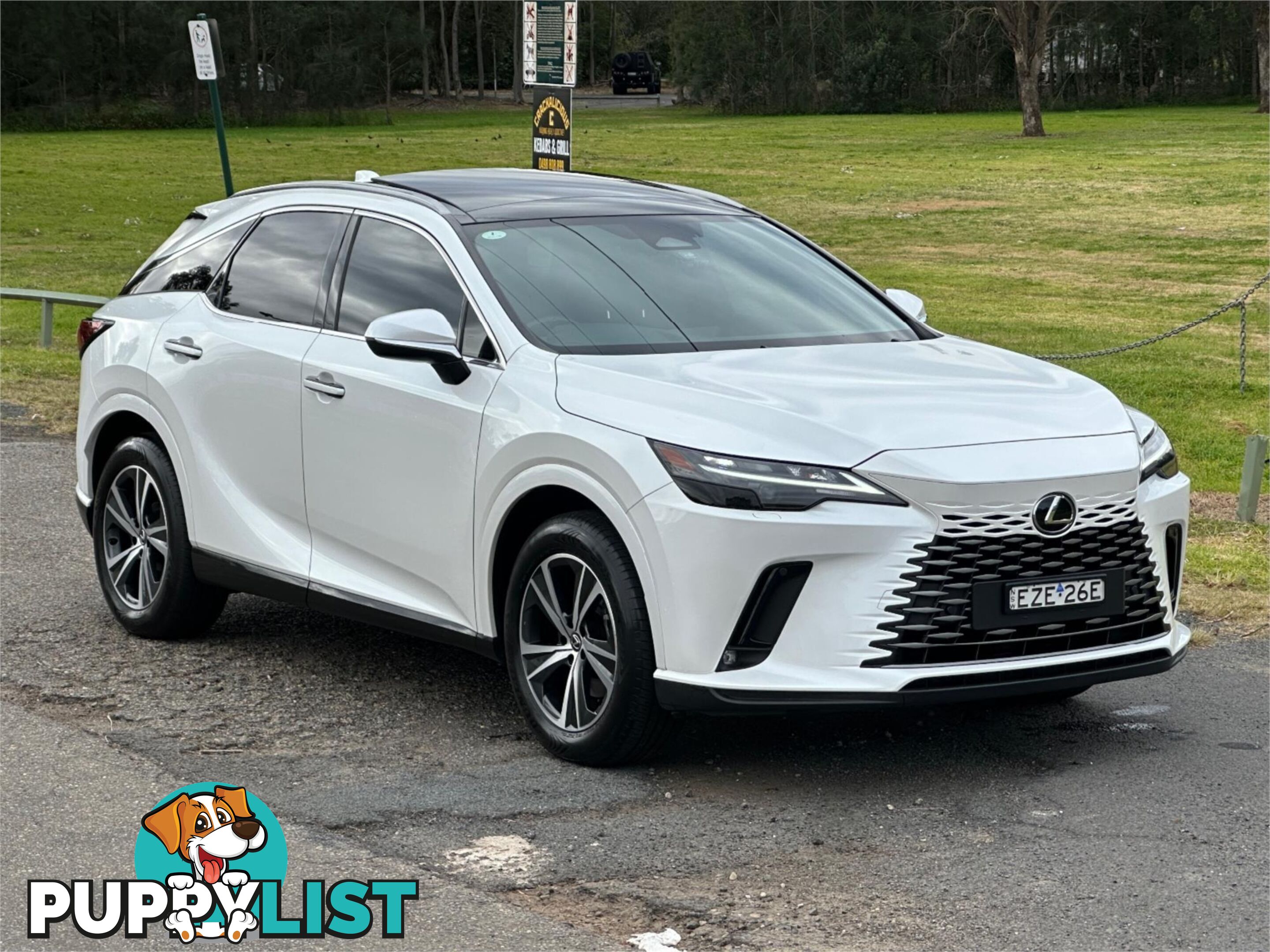 2023 LEXUS RX350h LUXURY AWD + EP1 HYBRID AALH15R 4D WAGON