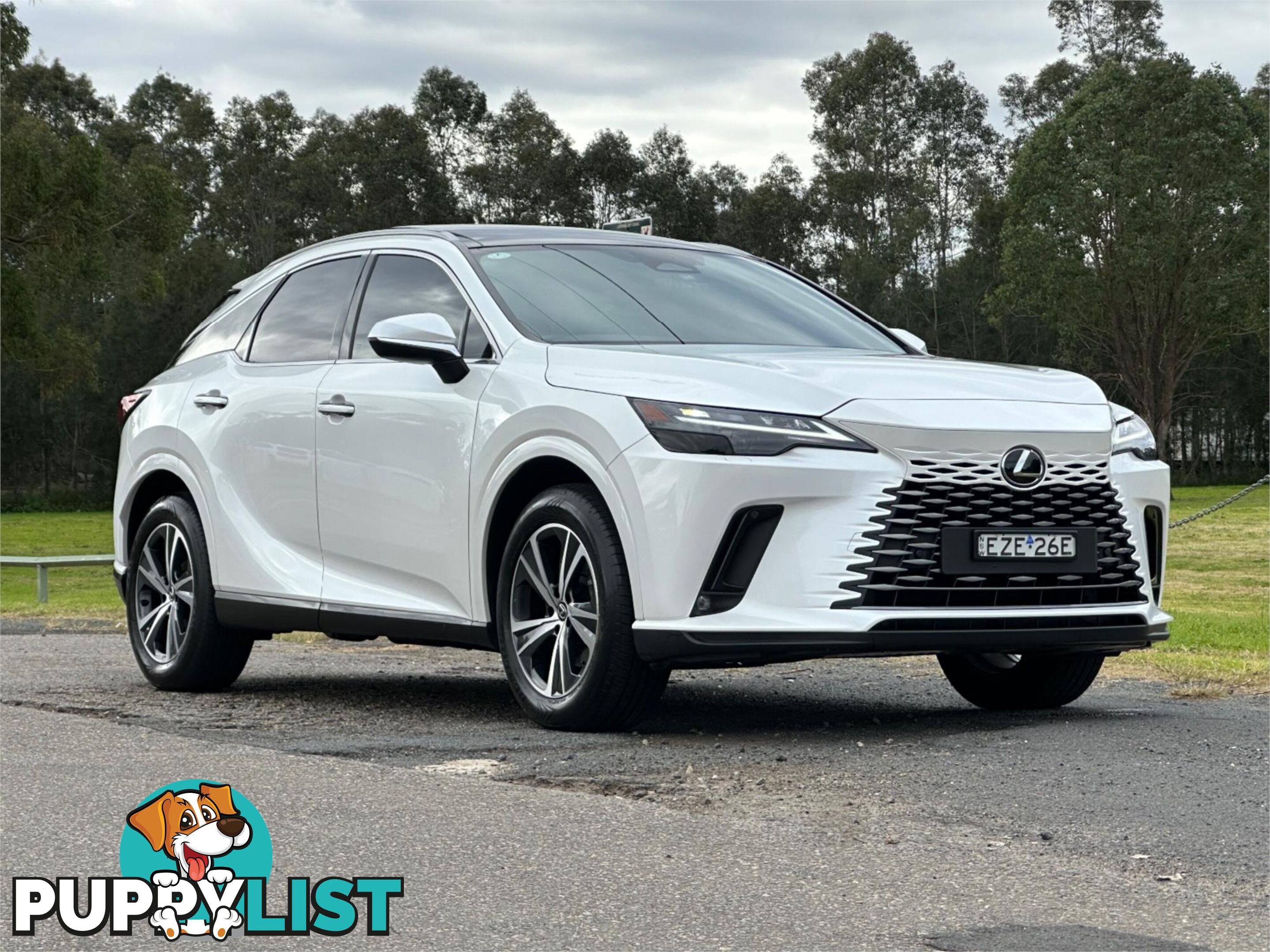 2023 LEXUS RX350h LUXURY AWD + EP1 HYBRID AALH15R 4D WAGON