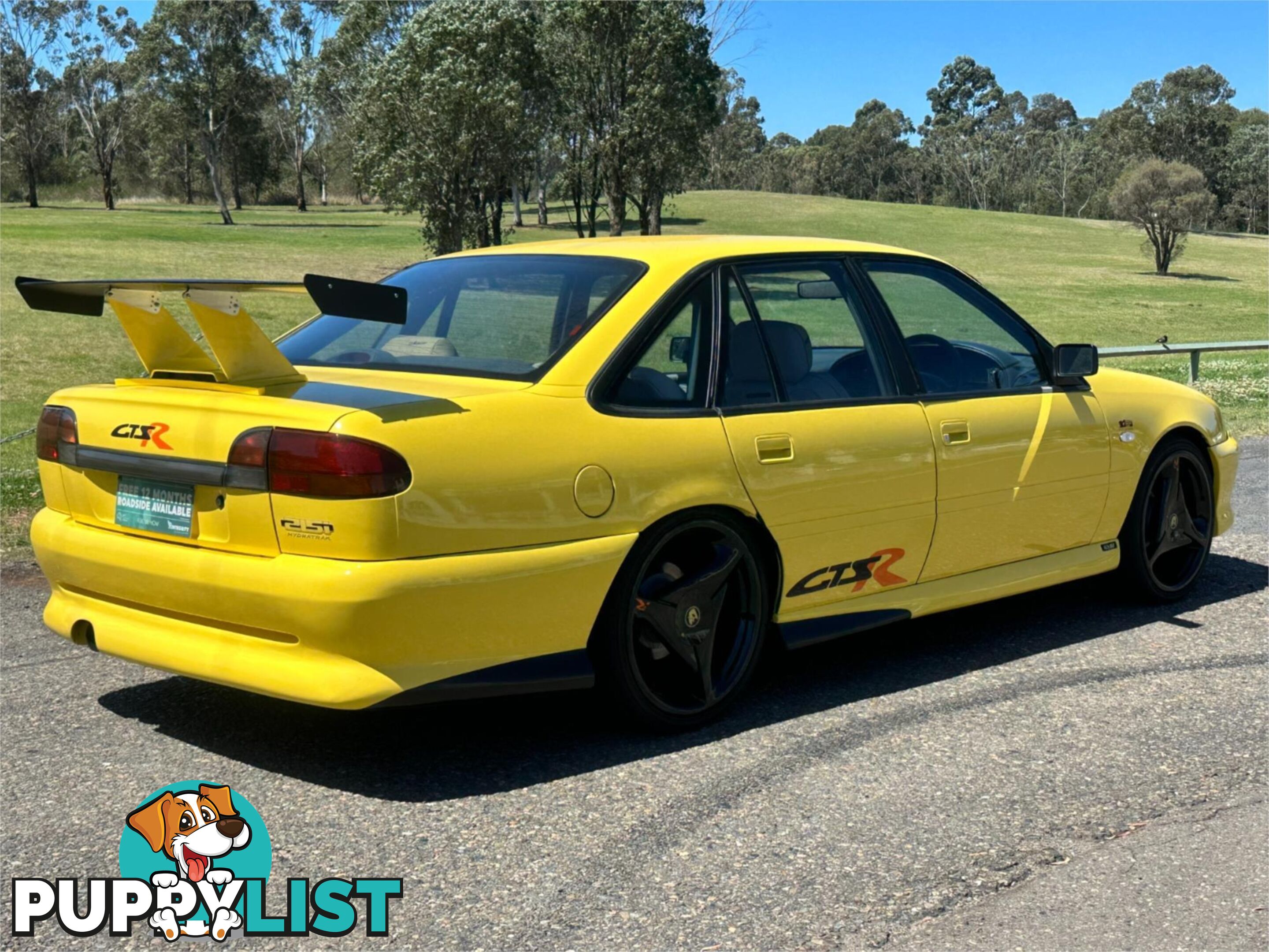 1995 HOLDEN COMMODORE GTS-R VS Sedan