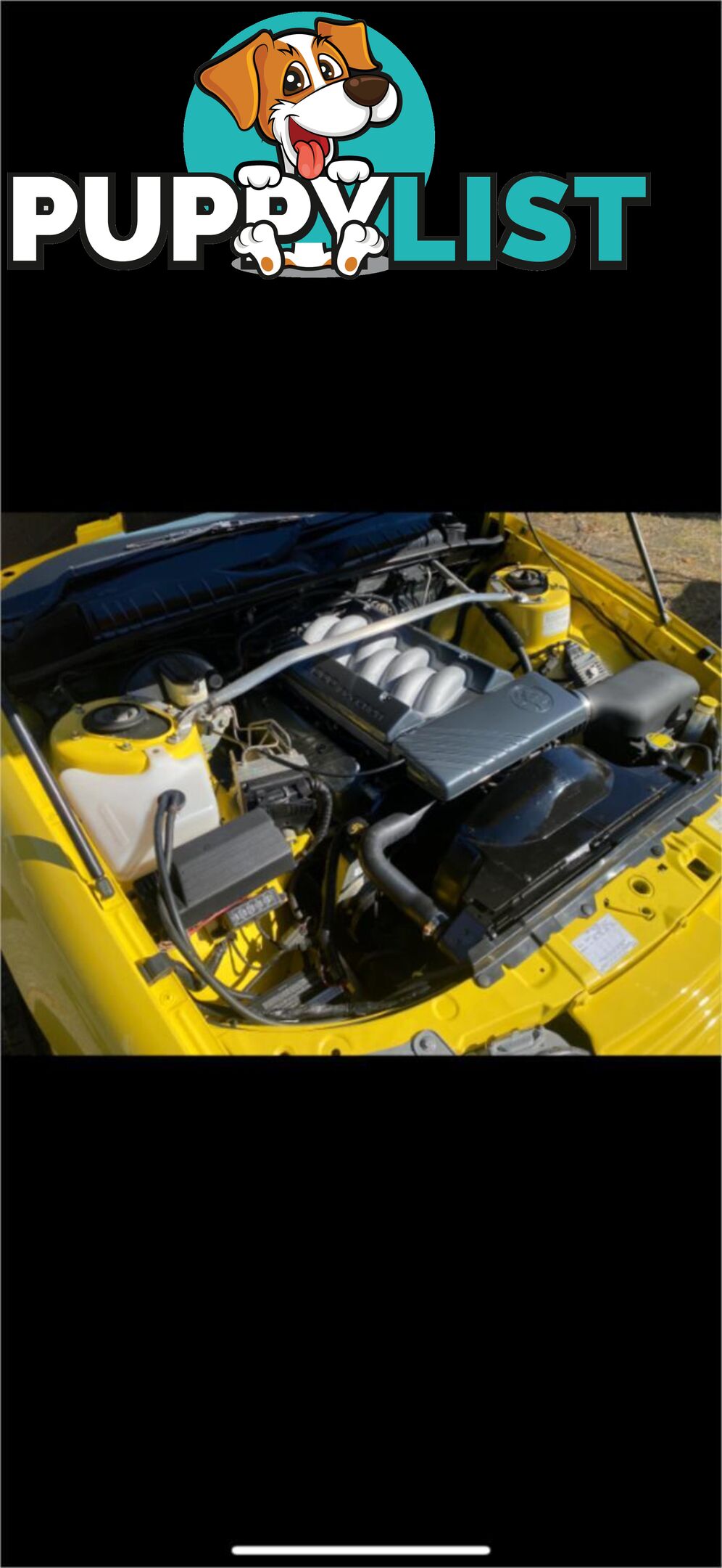 1995 HOLDEN COMMODORE GTS-R VS Sedan
