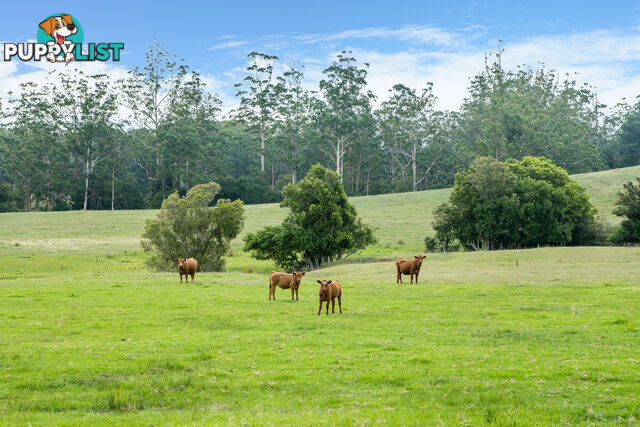 Lot 26/Lot 16 Hanleys Creek Road DUNGOG NSW 2420