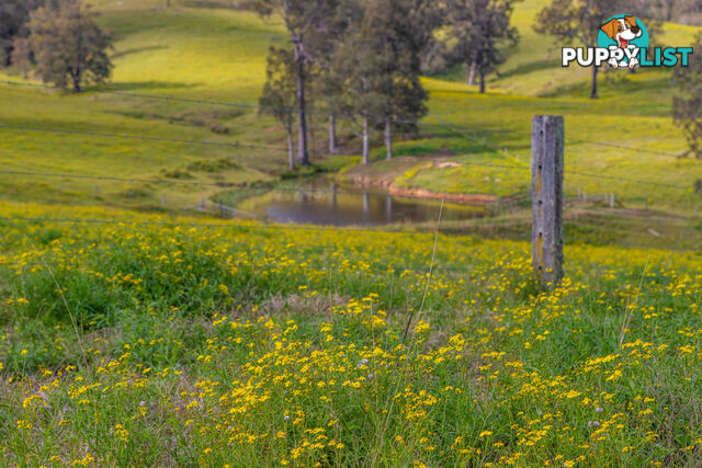 Lot 26/Lot 16 Hanleys Creek Road DUNGOG NSW 2420