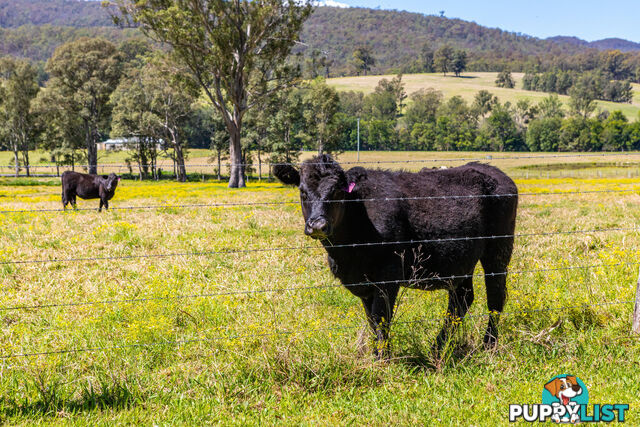 Lot 26/Lot 16 Hanleys Creek Road DUNGOG NSW 2420