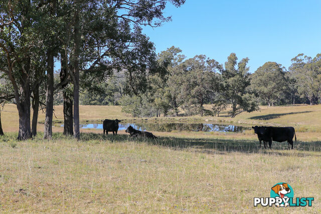 Lot 26/Lot 16 Hanleys Creek Road DUNGOG NSW 2420