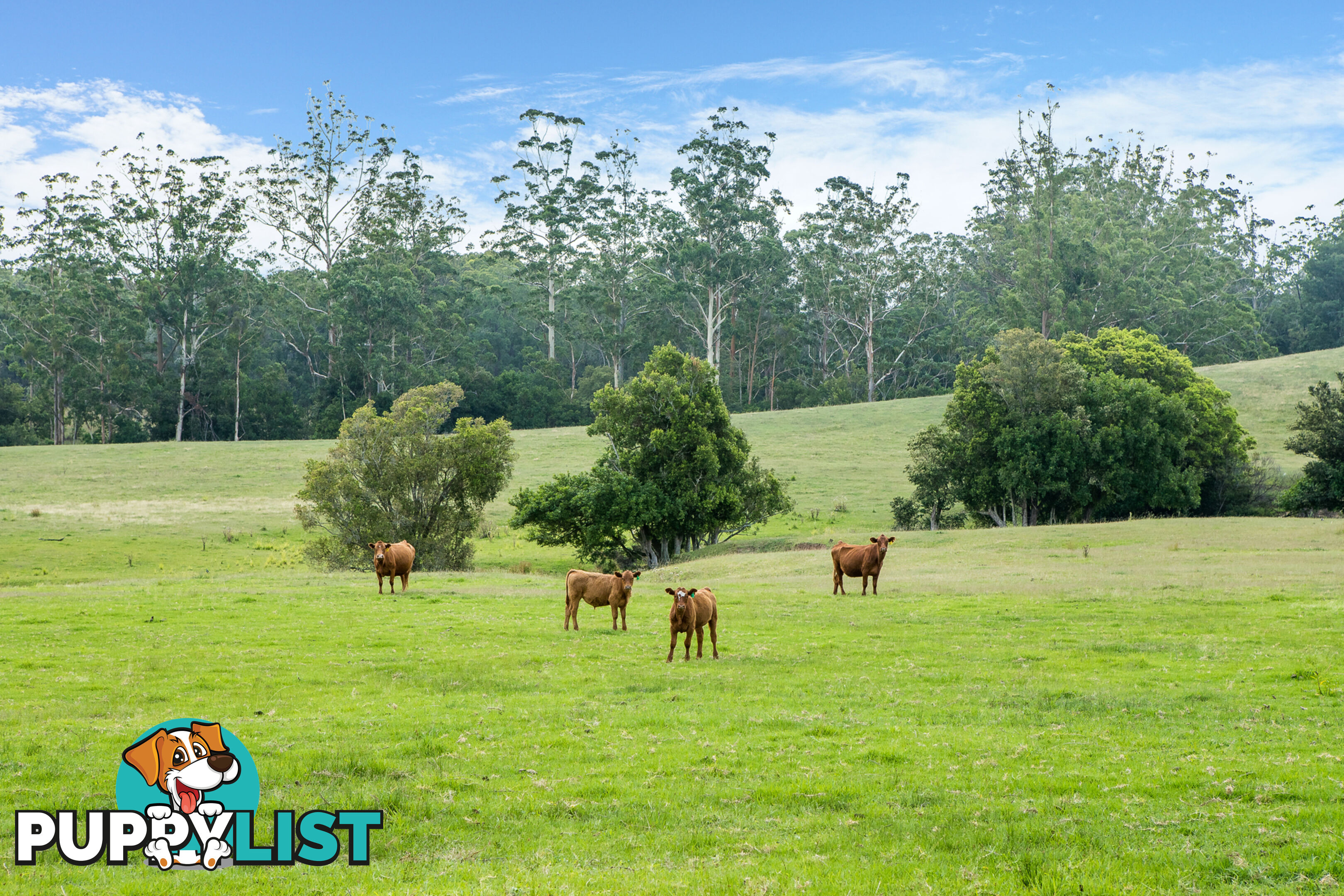 Lot 25/Lot 16 Hanleys Creek Road DUNGOG NSW 2420