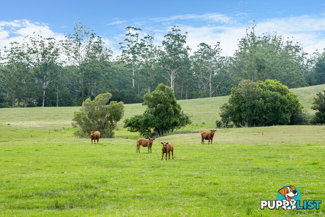 Lot 25/Lot 16 Hanleys Creek Road DUNGOG NSW 2420