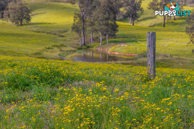 Lot 25/Lot 16 Hanleys Creek Road DUNGOG NSW 2420