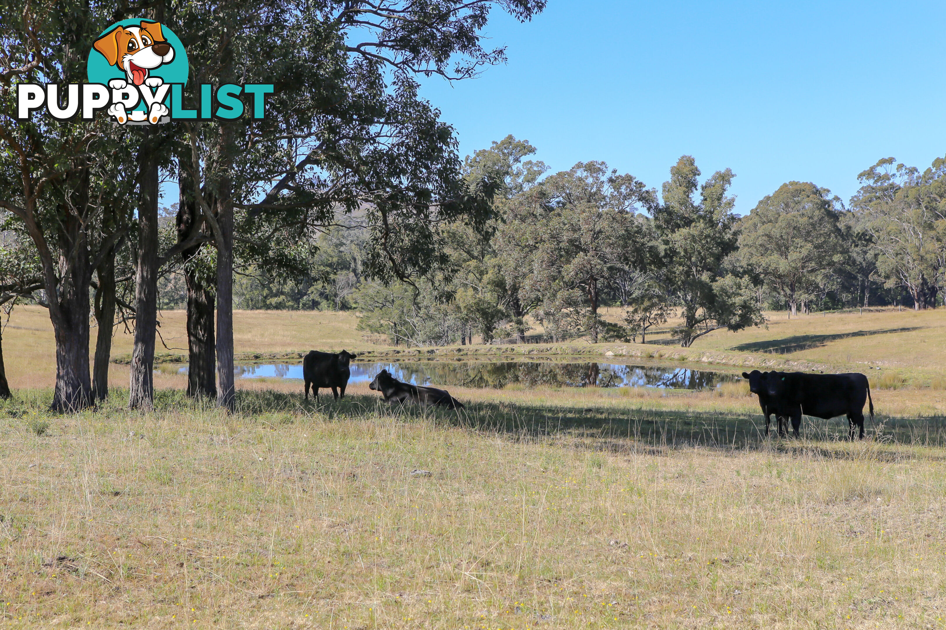 Lot 25/Lot 16 Hanleys Creek Road DUNGOG NSW 2420