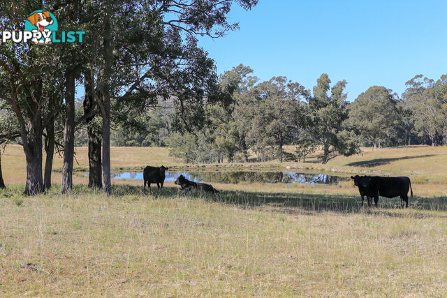 Lot 25/Lot 16 Hanleys Creek Road DUNGOG NSW 2420