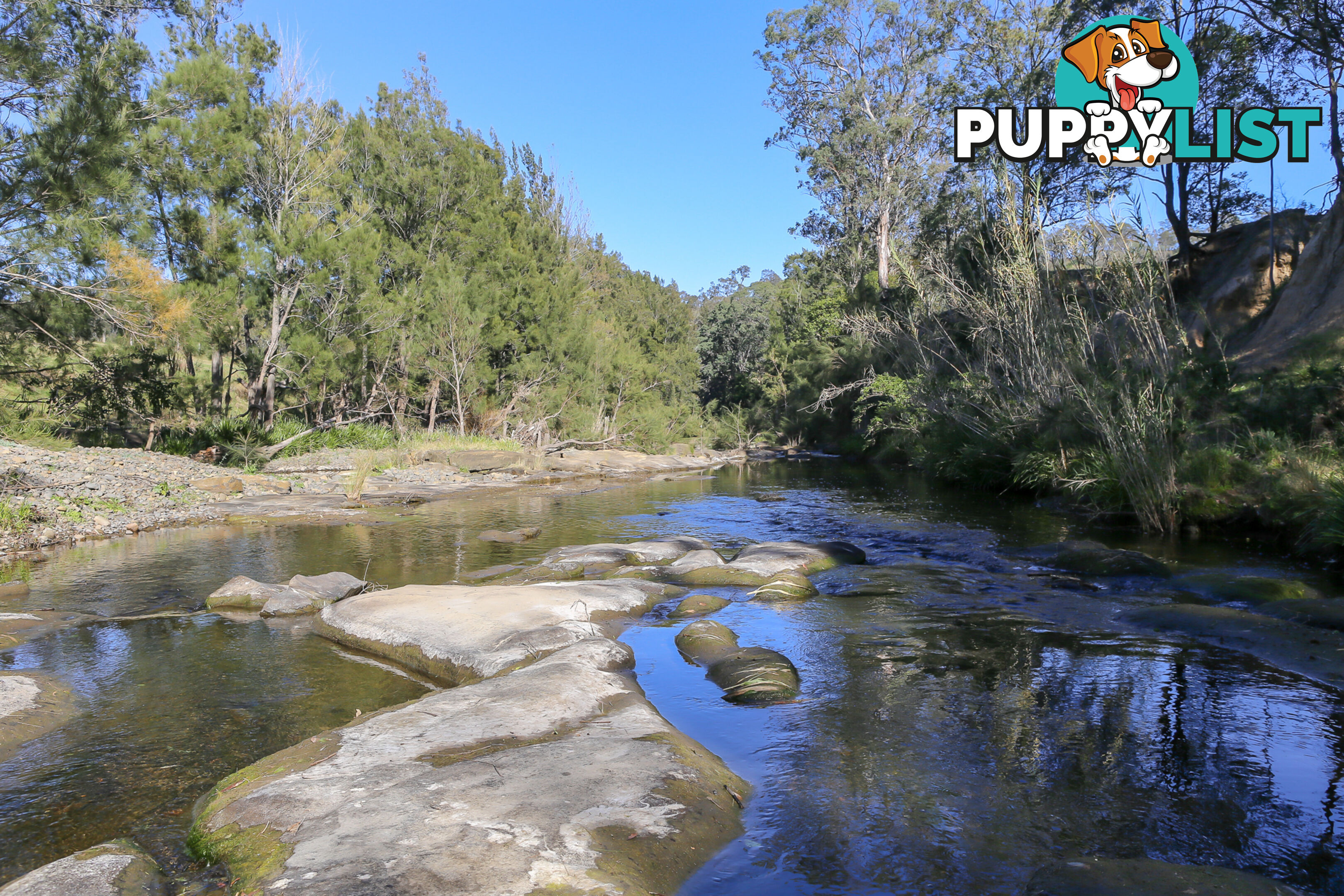 Lot 25/Lot 16 Hanleys Creek Road DUNGOG NSW 2420