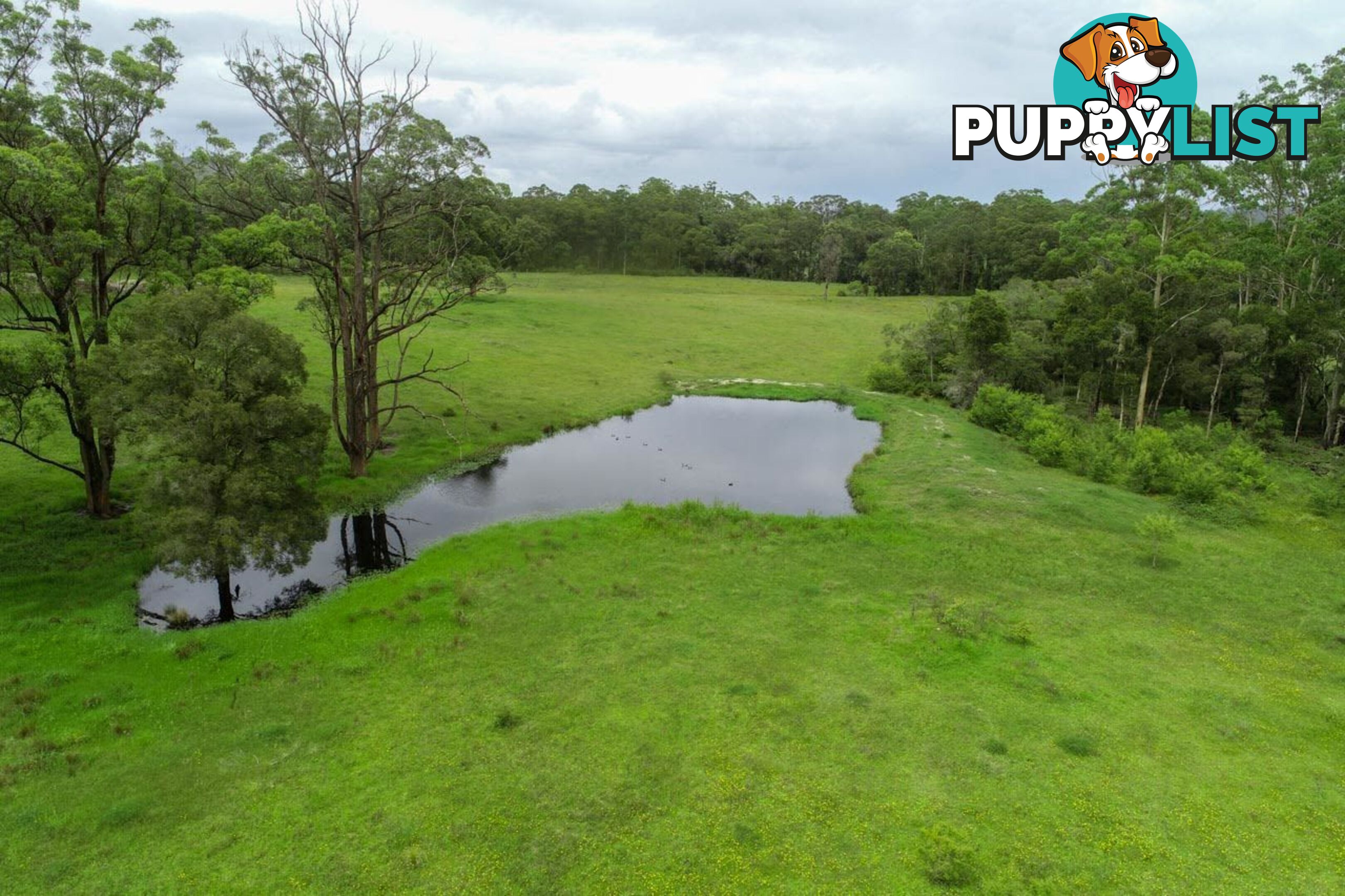 Lot 79/ Booral Road BOORAL NSW 2425