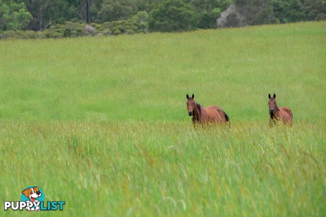 Lot 79/ Booral Road BOORAL NSW 2425