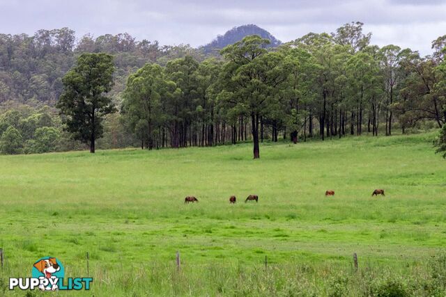 Lot 79/ Booral Road BOORAL NSW 2425