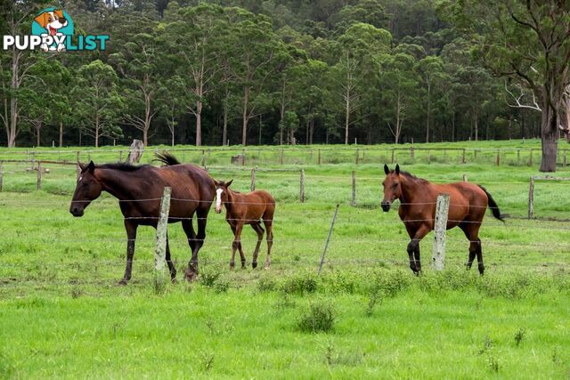 Lot 79/ Booral Road BOORAL NSW 2425