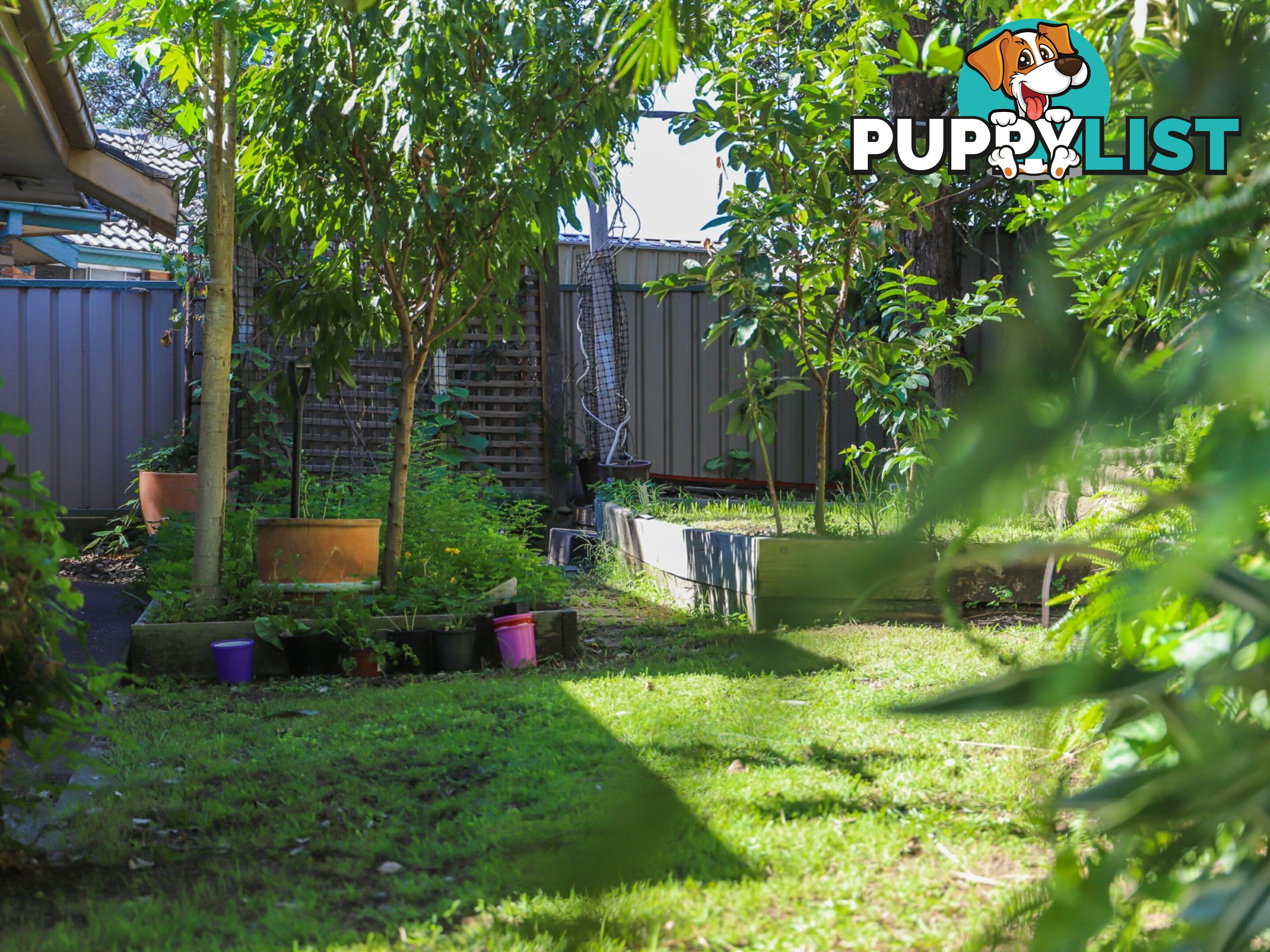 12 Holt Place RAYMOND TERRACE NSW 2324