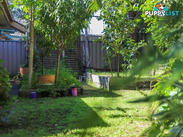 12 Holt Place RAYMOND TERRACE NSW 2324
