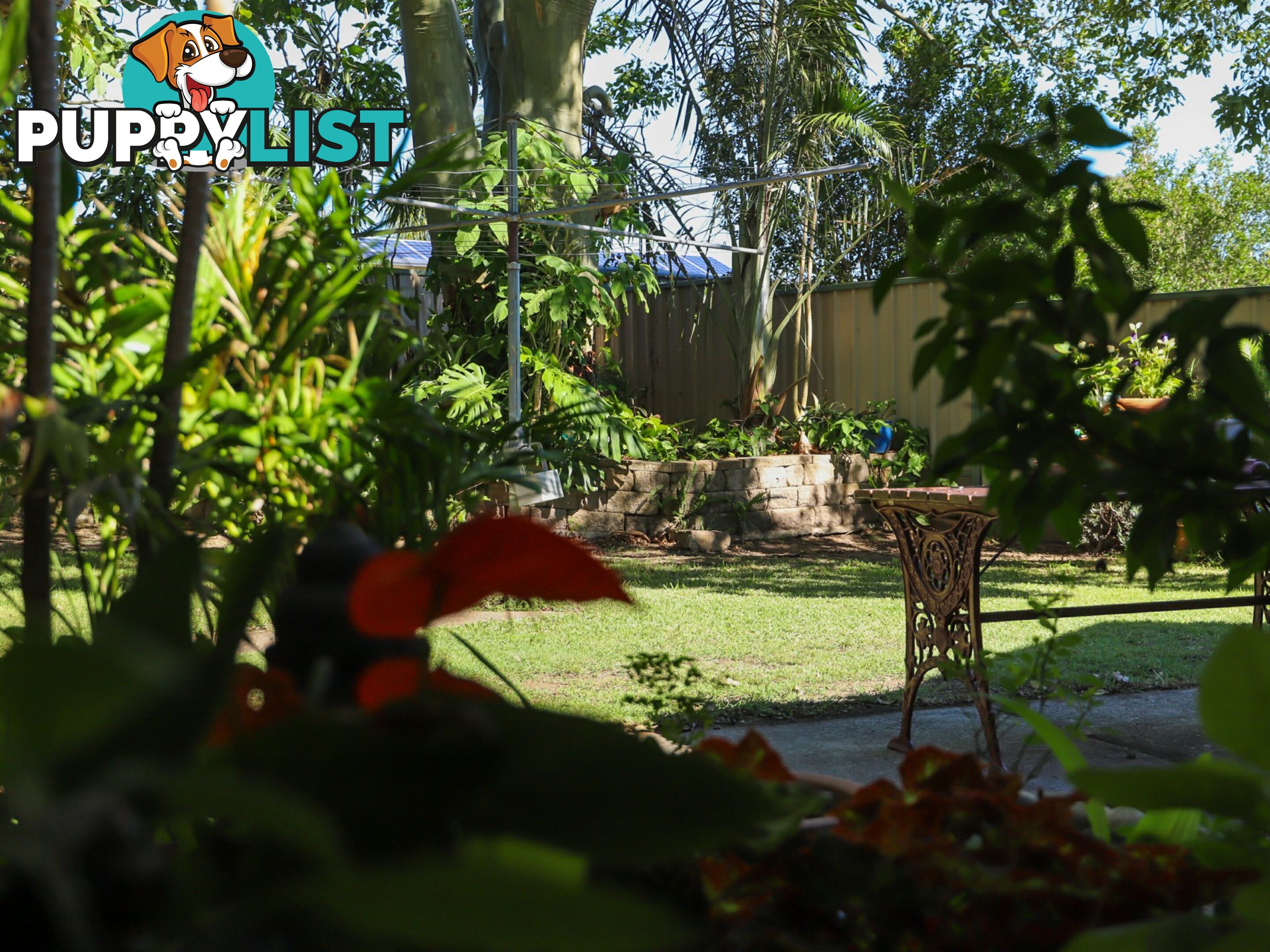 12 Holt Place RAYMOND TERRACE NSW 2324