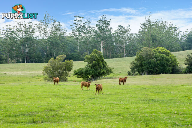 Lot 14/Lot 16 Hanleys Creek Road DUNGOG NSW 2420