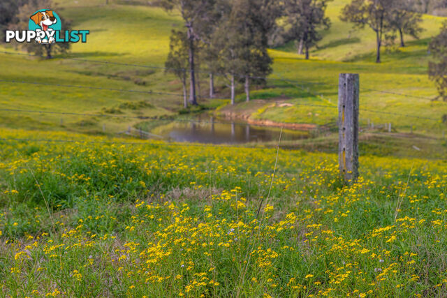 Lot 14/Lot 16 Hanleys Creek Road DUNGOG NSW 2420