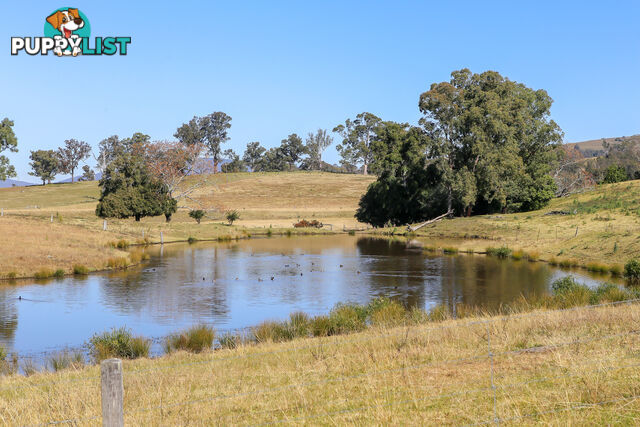 Lot 14/Lot 16 Hanleys Creek Road DUNGOG NSW 2420