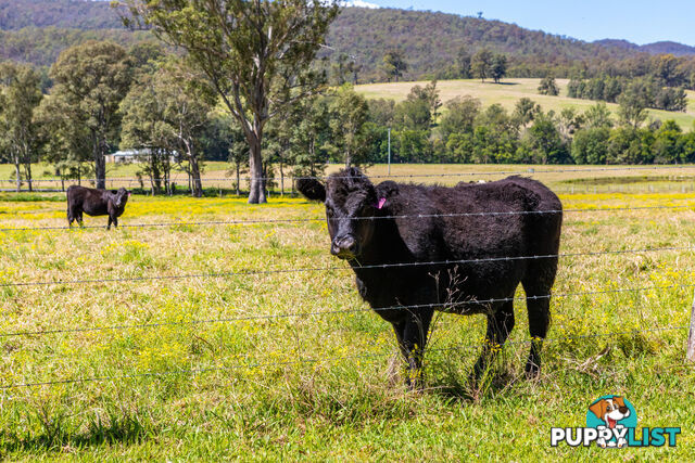 Lot 14/Lot 16 Hanleys Creek Road DUNGOG NSW 2420