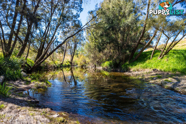 Lot 14/Lot 16 Hanleys Creek Road DUNGOG NSW 2420