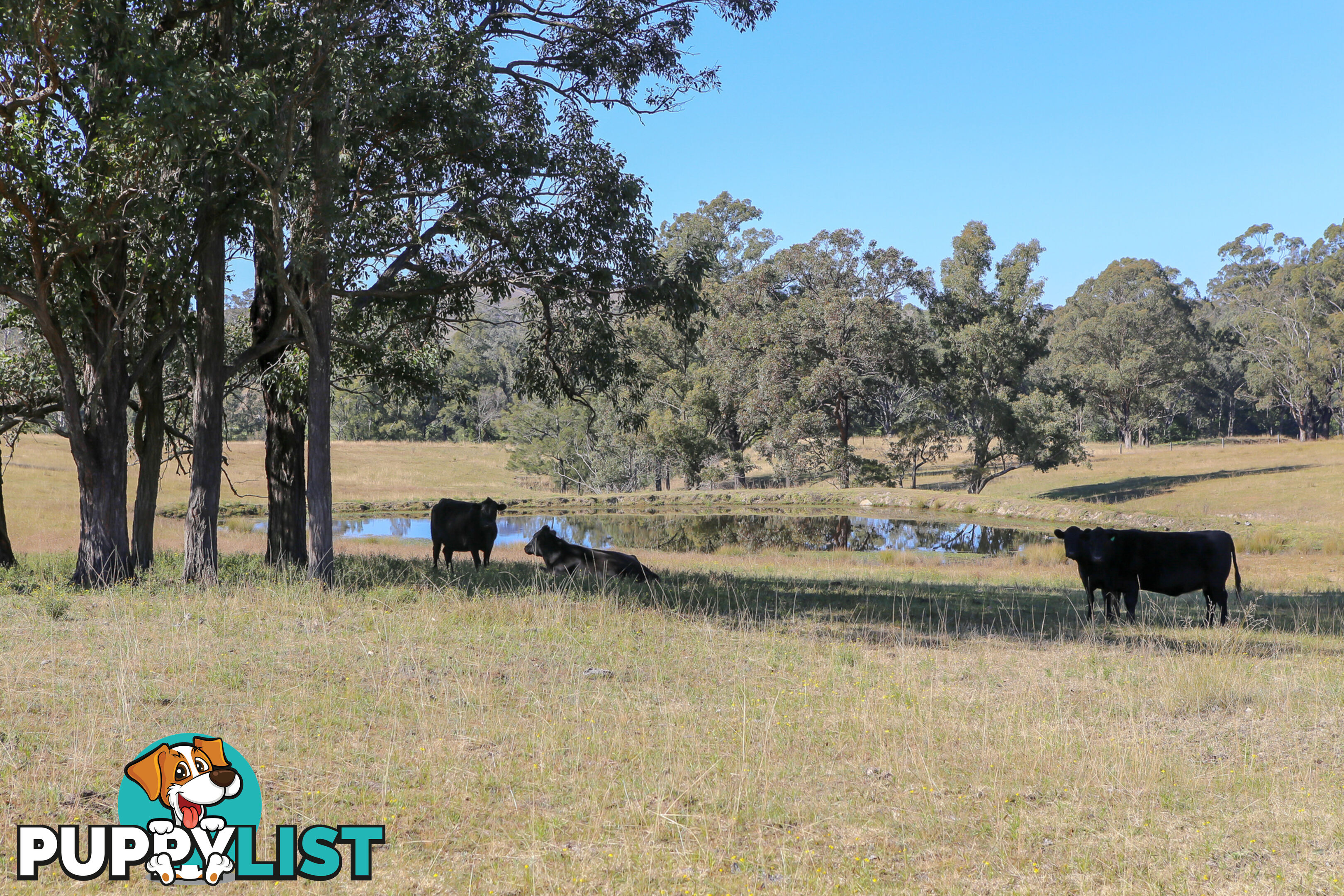 Lot 14/Lot 16 Hanleys Creek Road DUNGOG NSW 2420