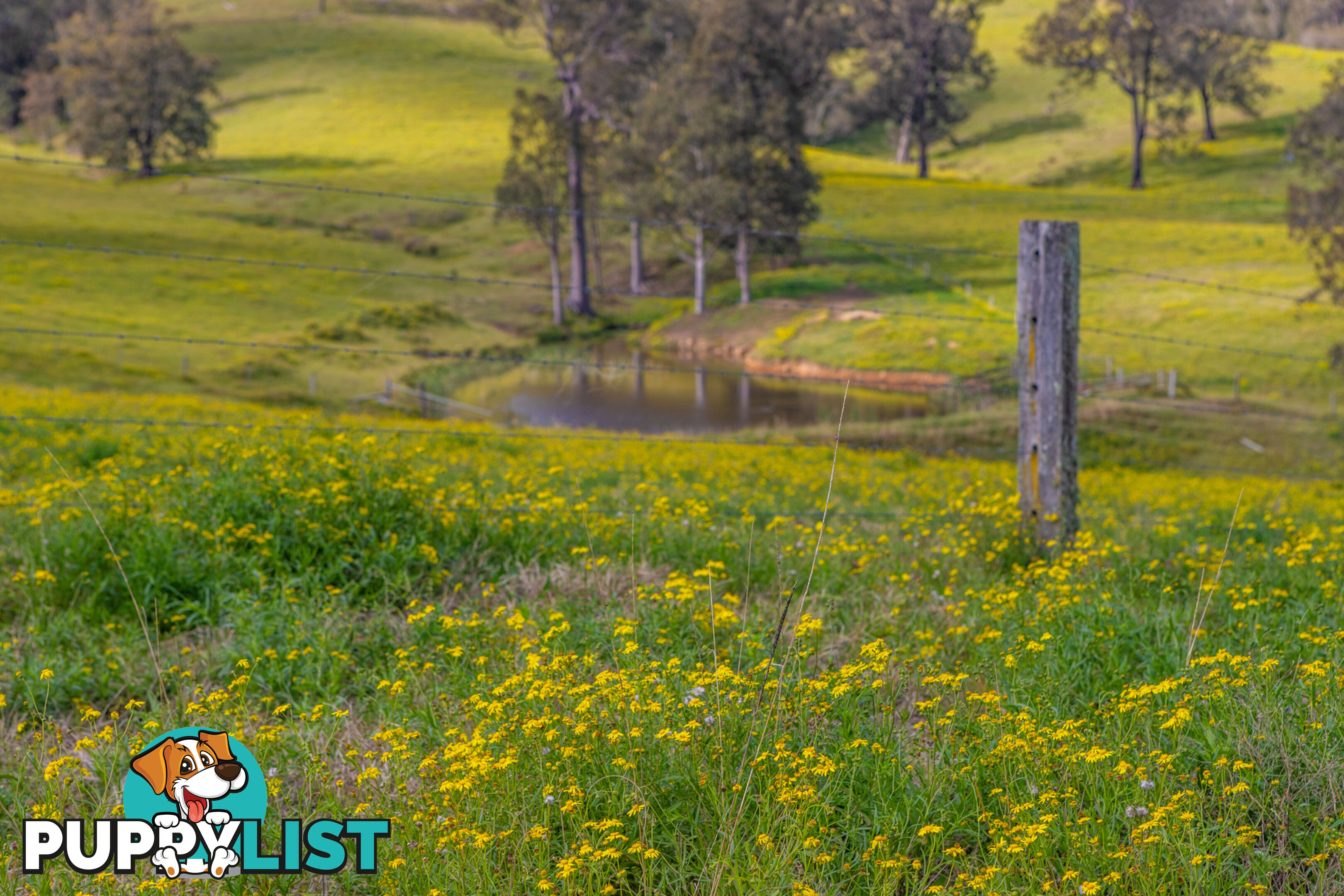 Lot 15/Lot 16 Hanleys Creek Road DUNGOG NSW 2420