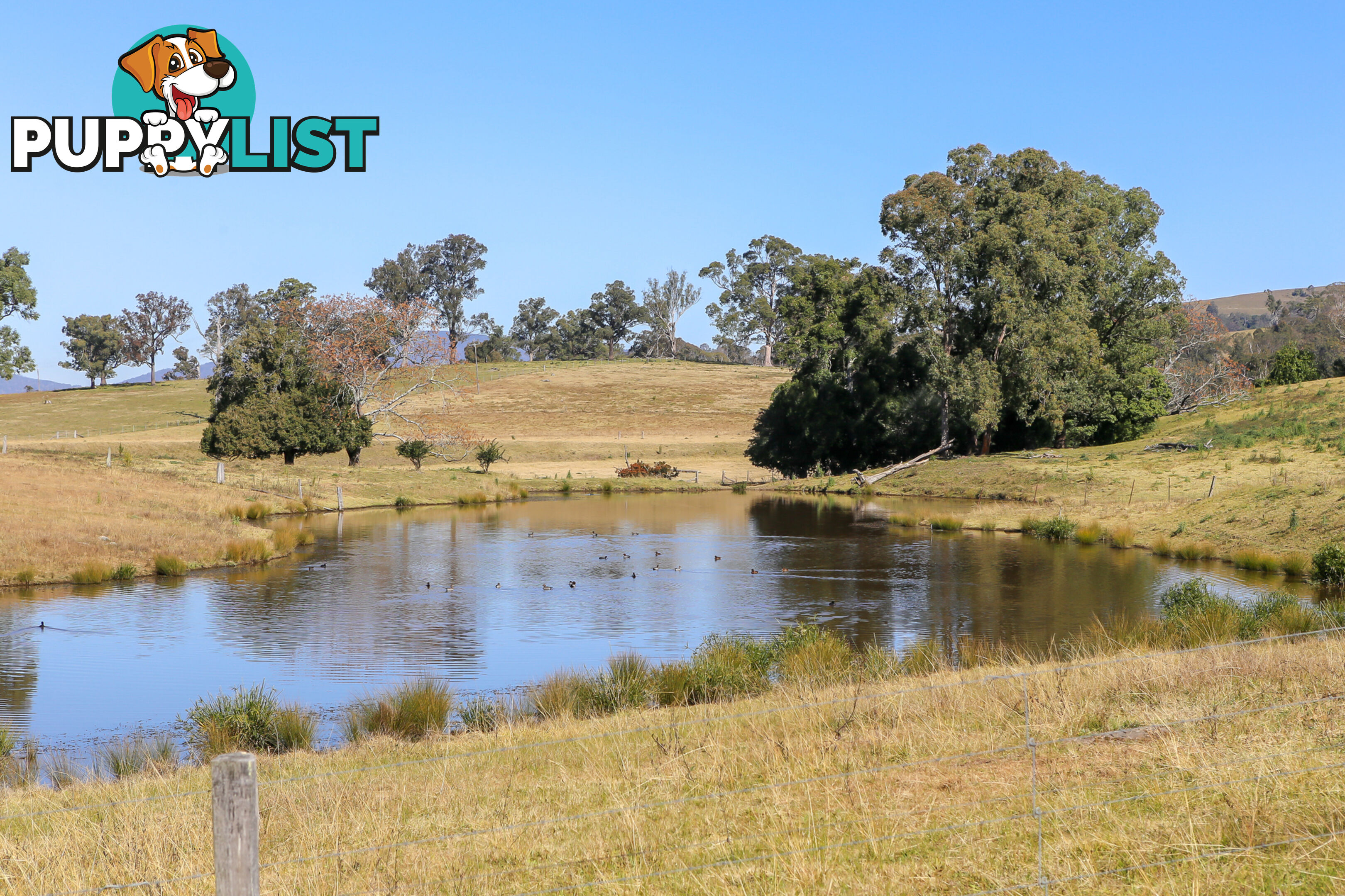 Lot 15/Lot 16 Hanleys Creek Road DUNGOG NSW 2420