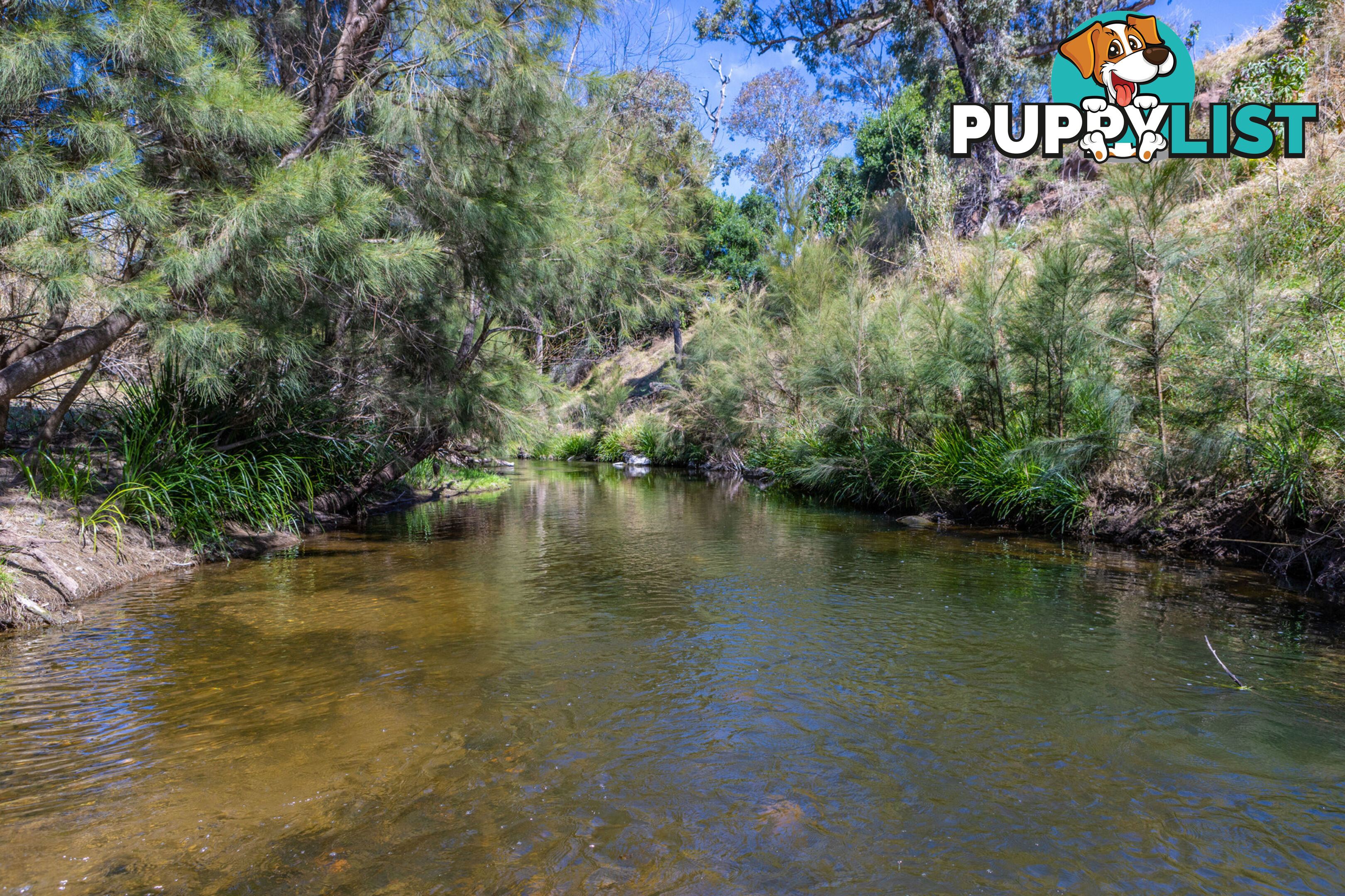 Lot 15/Lot 16 Hanleys Creek Road DUNGOG NSW 2420