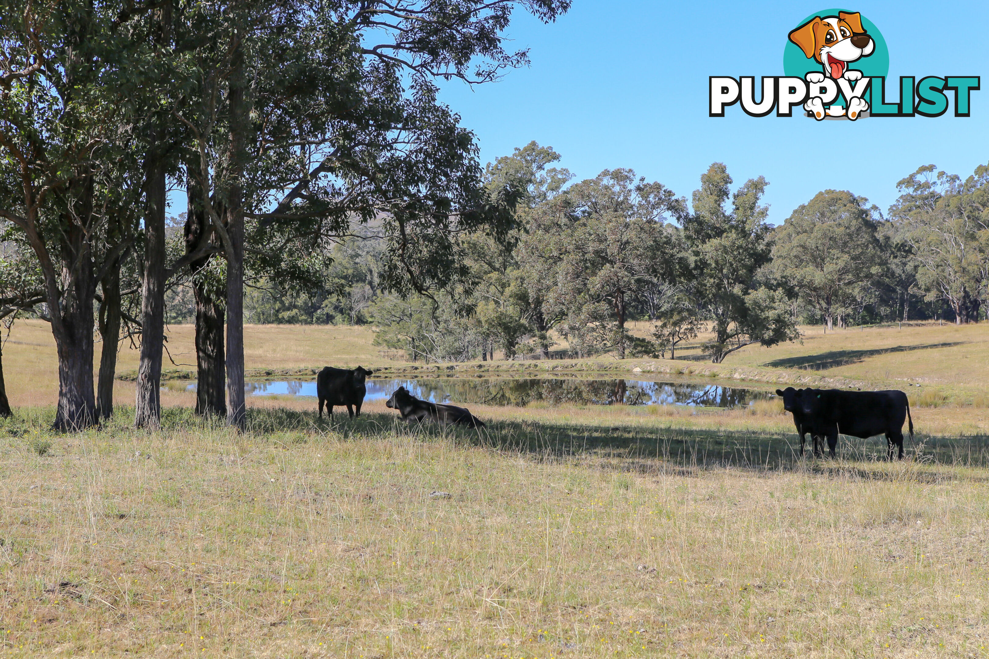 Lot 15/Lot 16 Hanleys Creek Road DUNGOG NSW 2420