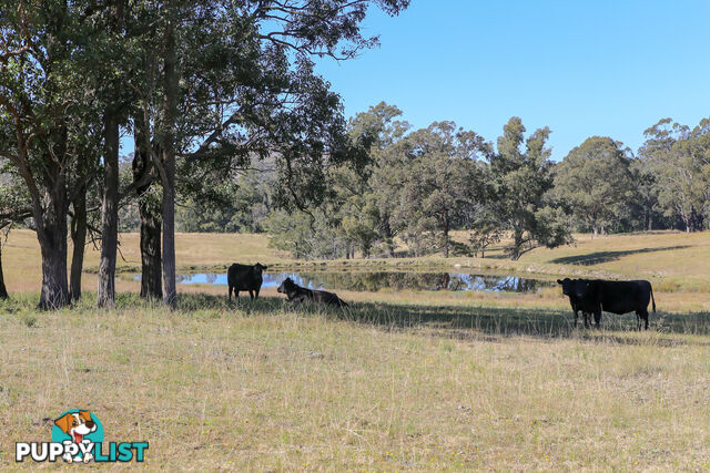 Lot 15/Lot 16 Hanleys Creek Road DUNGOG NSW 2420