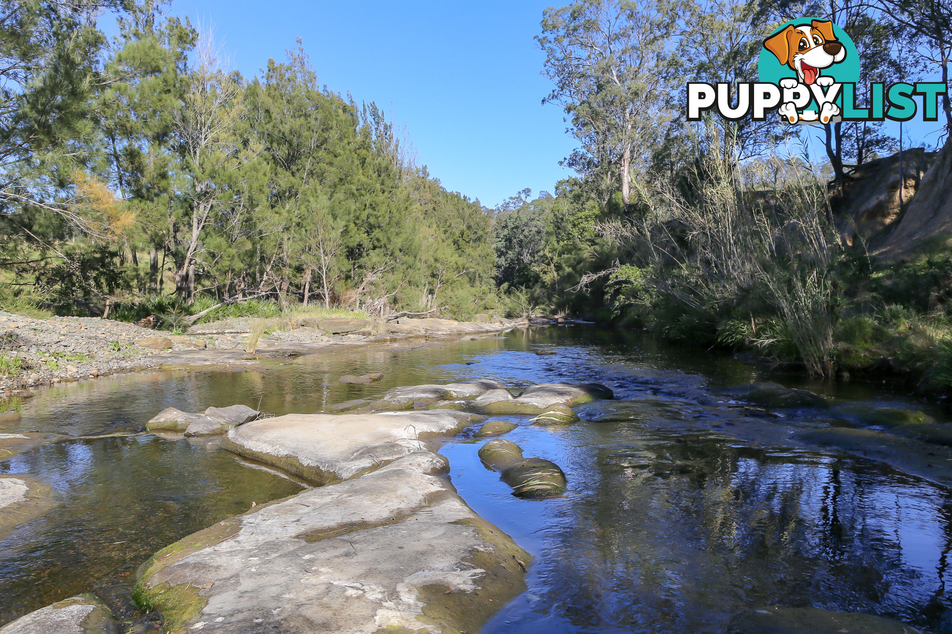 Lot 15/Lot 16 Hanleys Creek Road DUNGOG NSW 2420