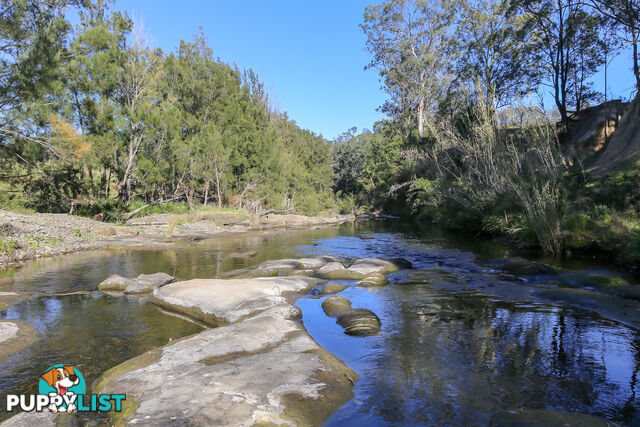 Lot 15/Lot 16 Hanleys Creek Road DUNGOG NSW 2420