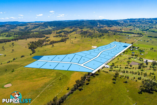 Lot 15/Lot 16 Hanleys Creek Road DUNGOG NSW 2420