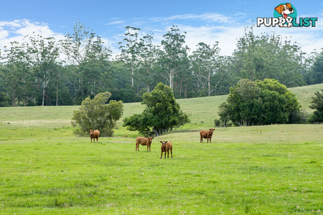 Lot 15/Lot 16 Hanleys Creek Road DUNGOG NSW 2420