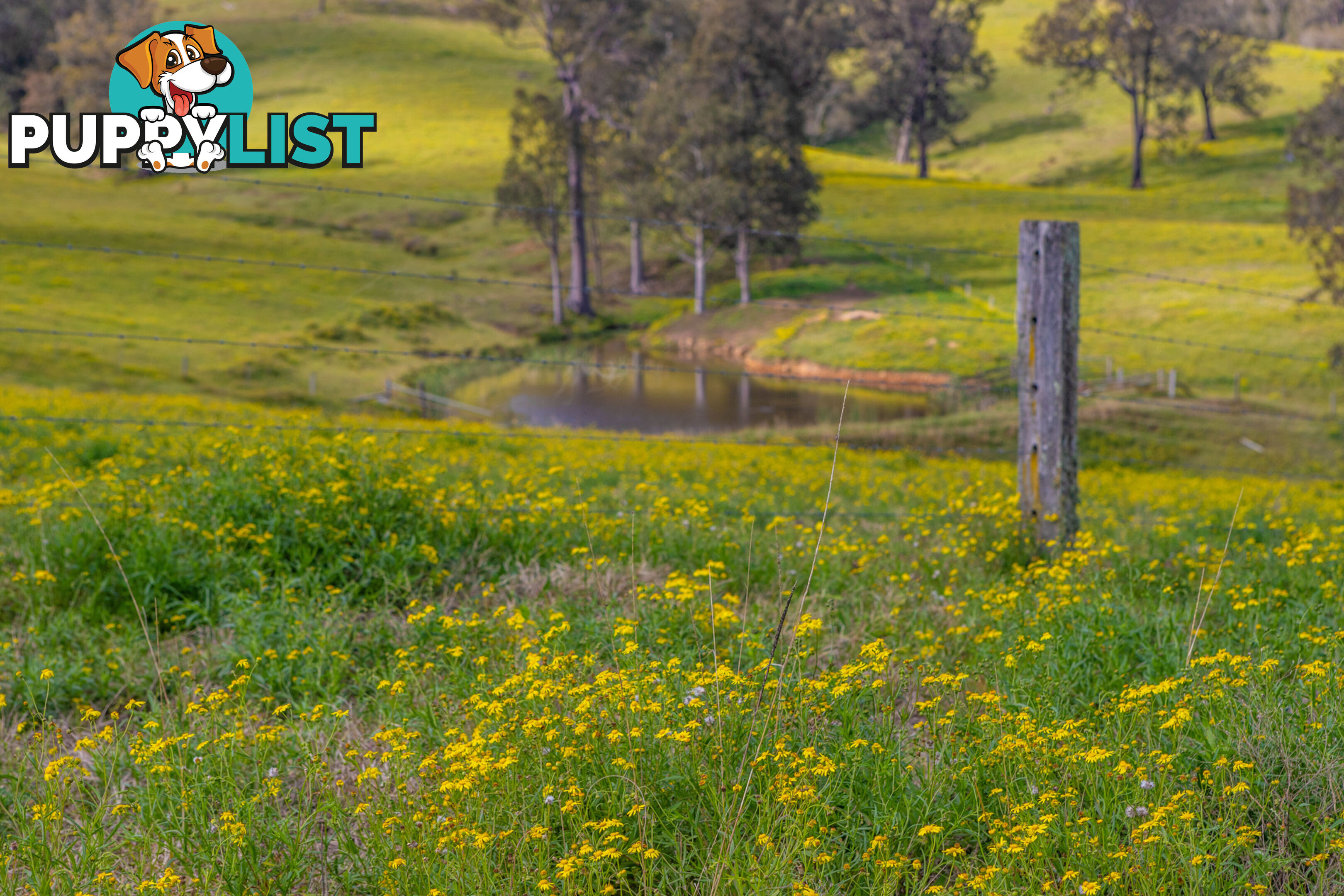 Lot 12/Lot 16 Hanleys Creek Road DUNGOG NSW 2420