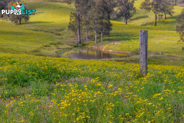 Lot 12/Lot 16 Hanleys Creek Road DUNGOG NSW 2420