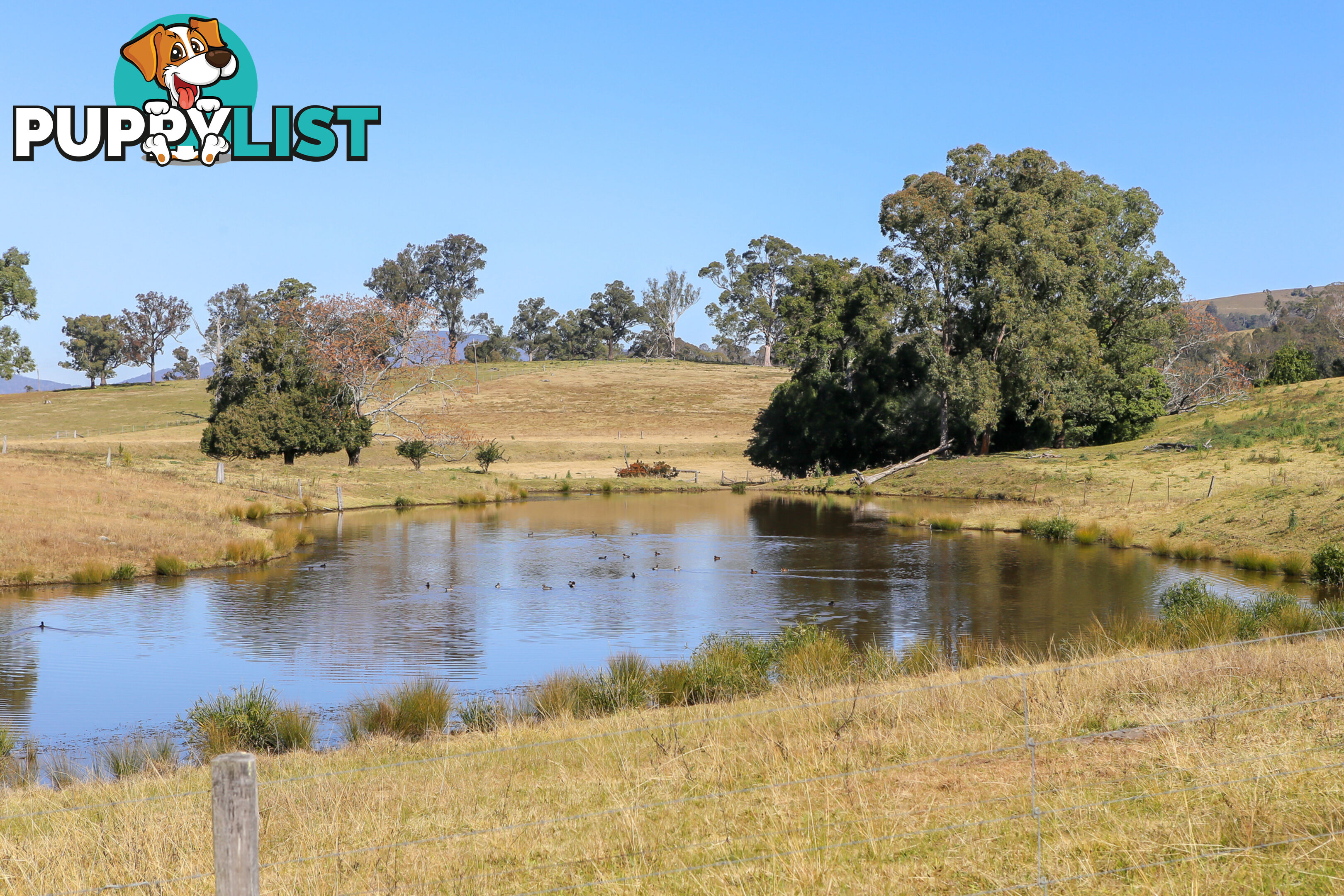 Lot 12/Lot 16 Hanleys Creek Road DUNGOG NSW 2420