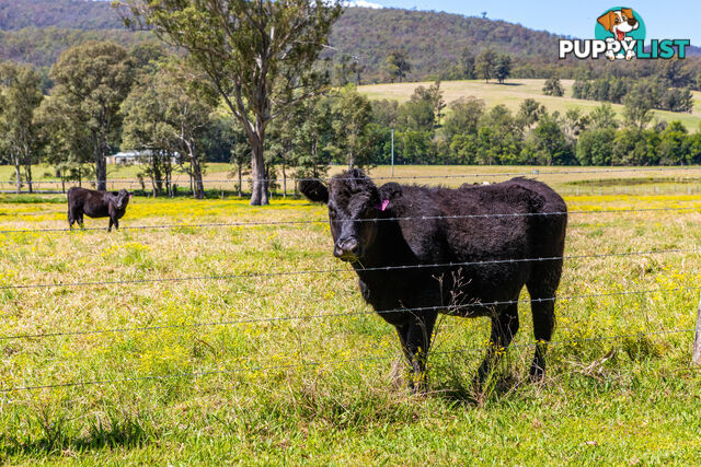 Lot 12/Lot 16 Hanleys Creek Road DUNGOG NSW 2420