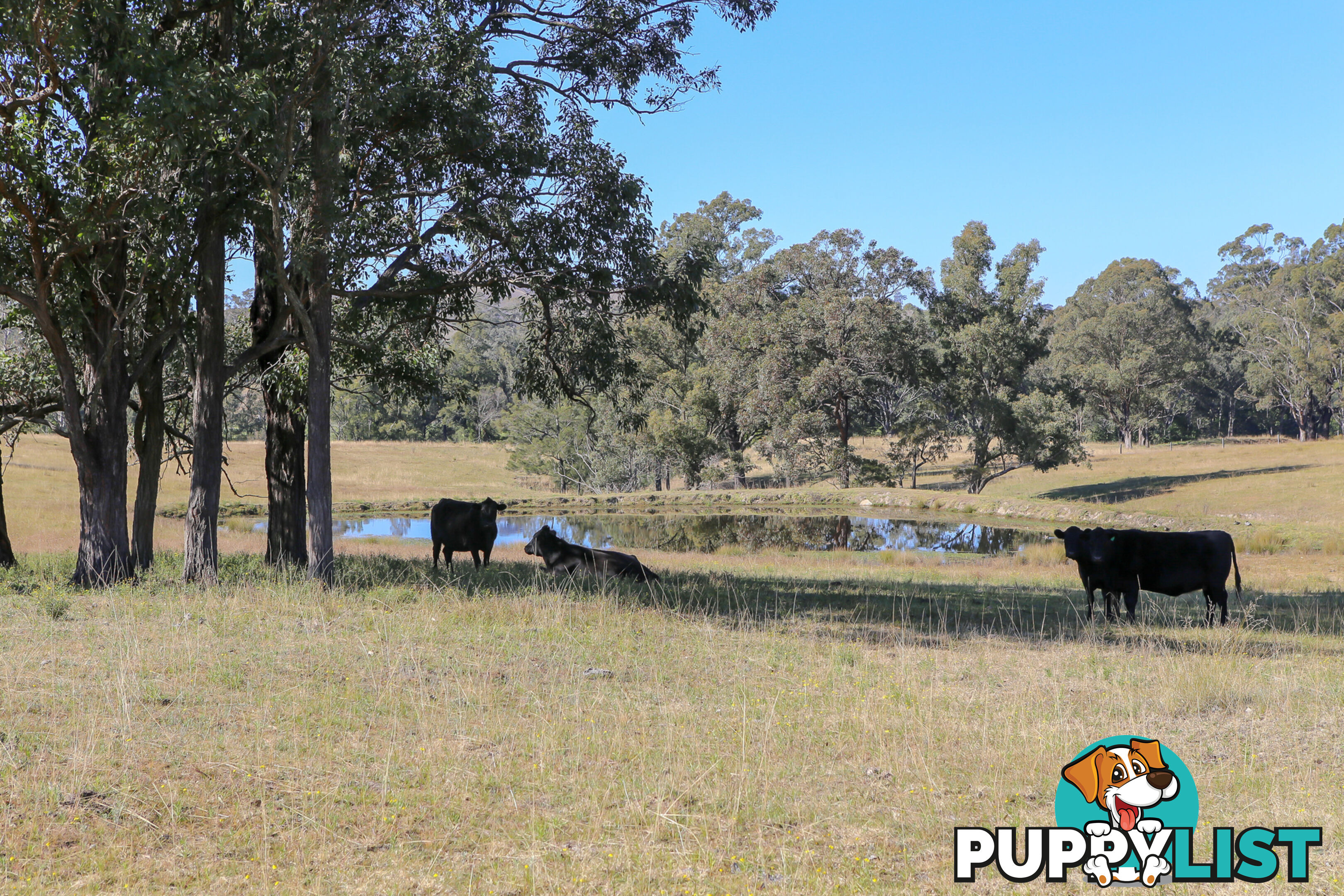 Lot 12/Lot 16 Hanleys Creek Road DUNGOG NSW 2420