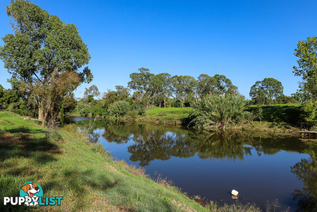 Lot 12/Lot 16 Hanleys Creek Road DUNGOG NSW 2420