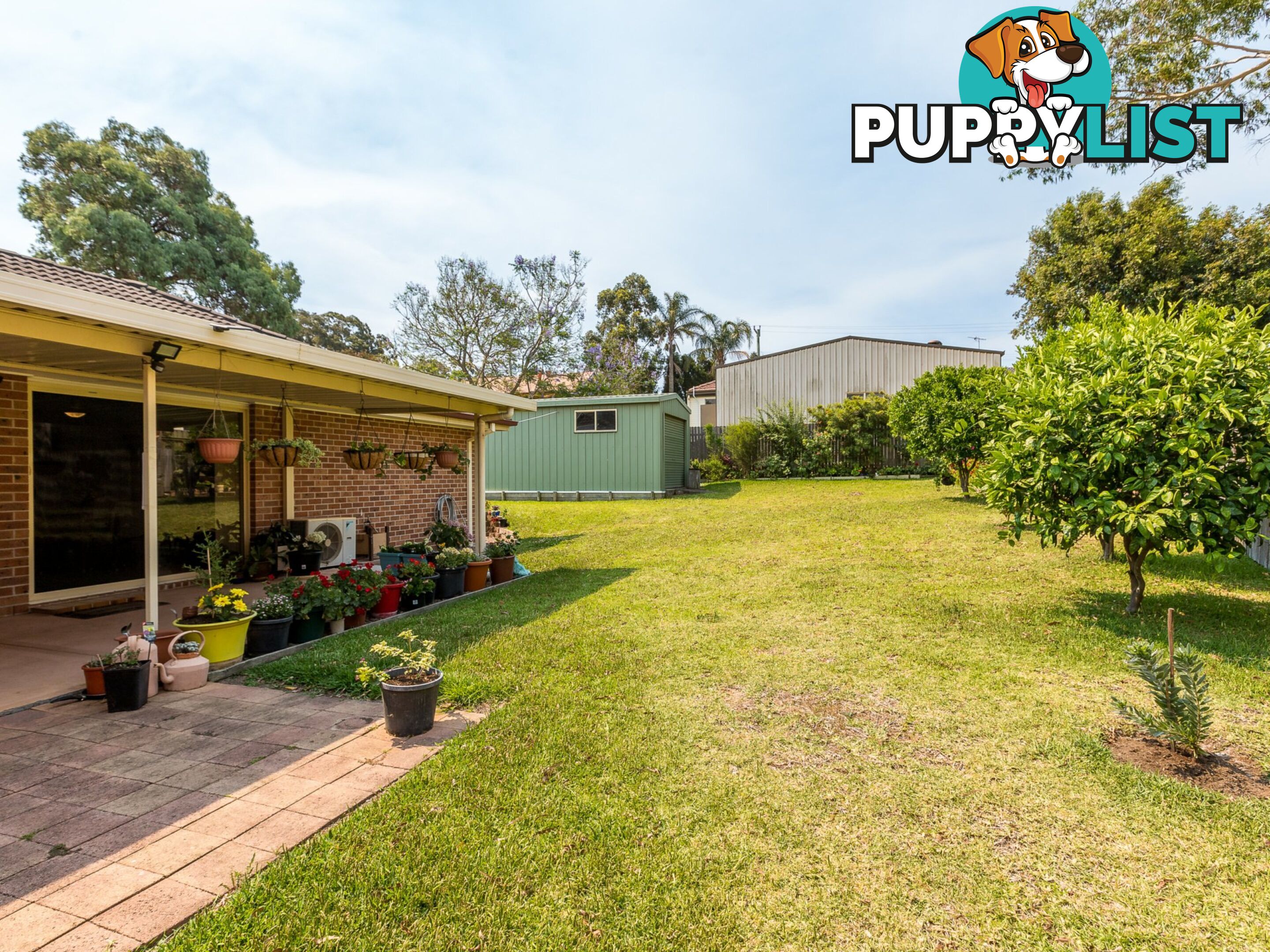 14 Joseph Sheen Drive RAYMOND TERRACE NSW 2324