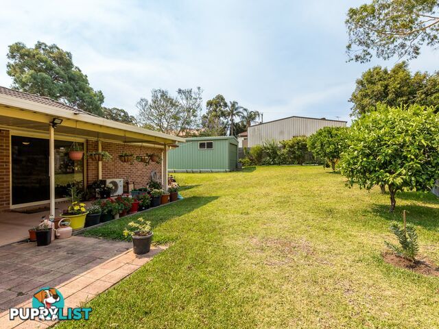 14 Joseph Sheen Drive RAYMOND TERRACE NSW 2324